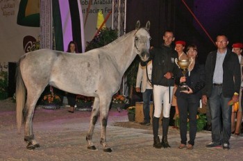 The stallion Tahar du Barthas ridden by Vincent Gaudriot (FRA) stole the show winning the Best Condition Prize at the FEI World Endurance Champioships for Young Horses. (Photo: Gilly Wheeler/FEI)