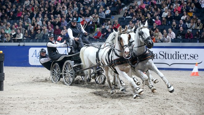 Chardon wins FEI World Cup™ Driving in Stockholm